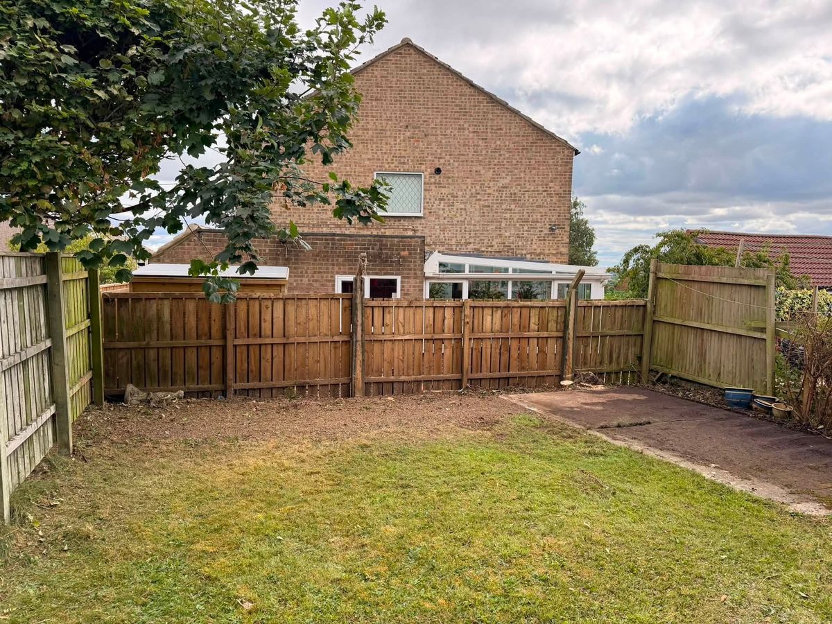 Garden after the trees were removed, open and bright with the house in sunlight