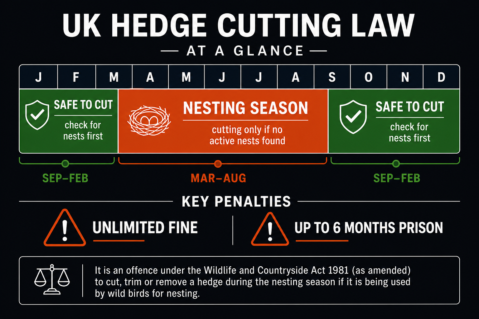 UK hedge cutting law calendar: safe window September to February, nesting season March to August with unlimited fine and prison penalties