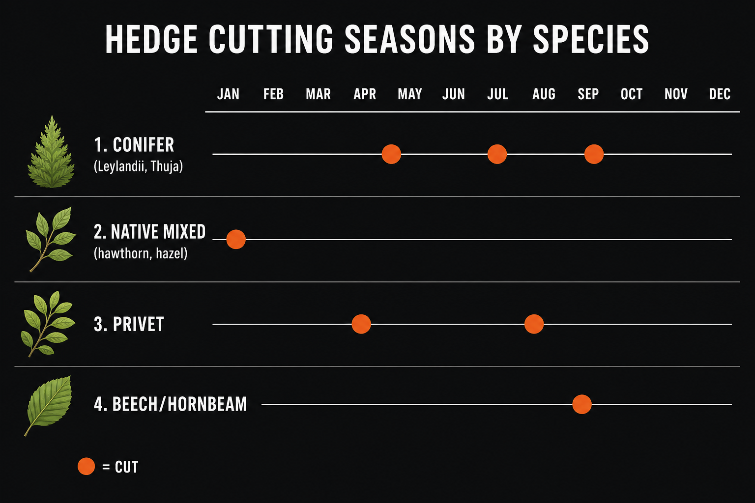 Hedge cutting schedule by species: conifer 2-3 cuts, native mixed 1 cut, privet 2 cuts, beech 1 cut