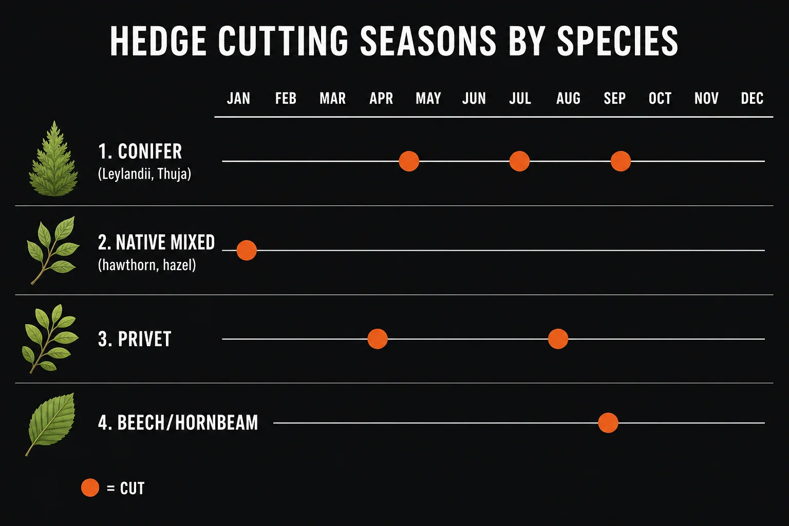 Hedge cutting schedule by species: conifer 2-3 cuts, native mixed 1 cut, privet 2 cuts, beech 1 cut