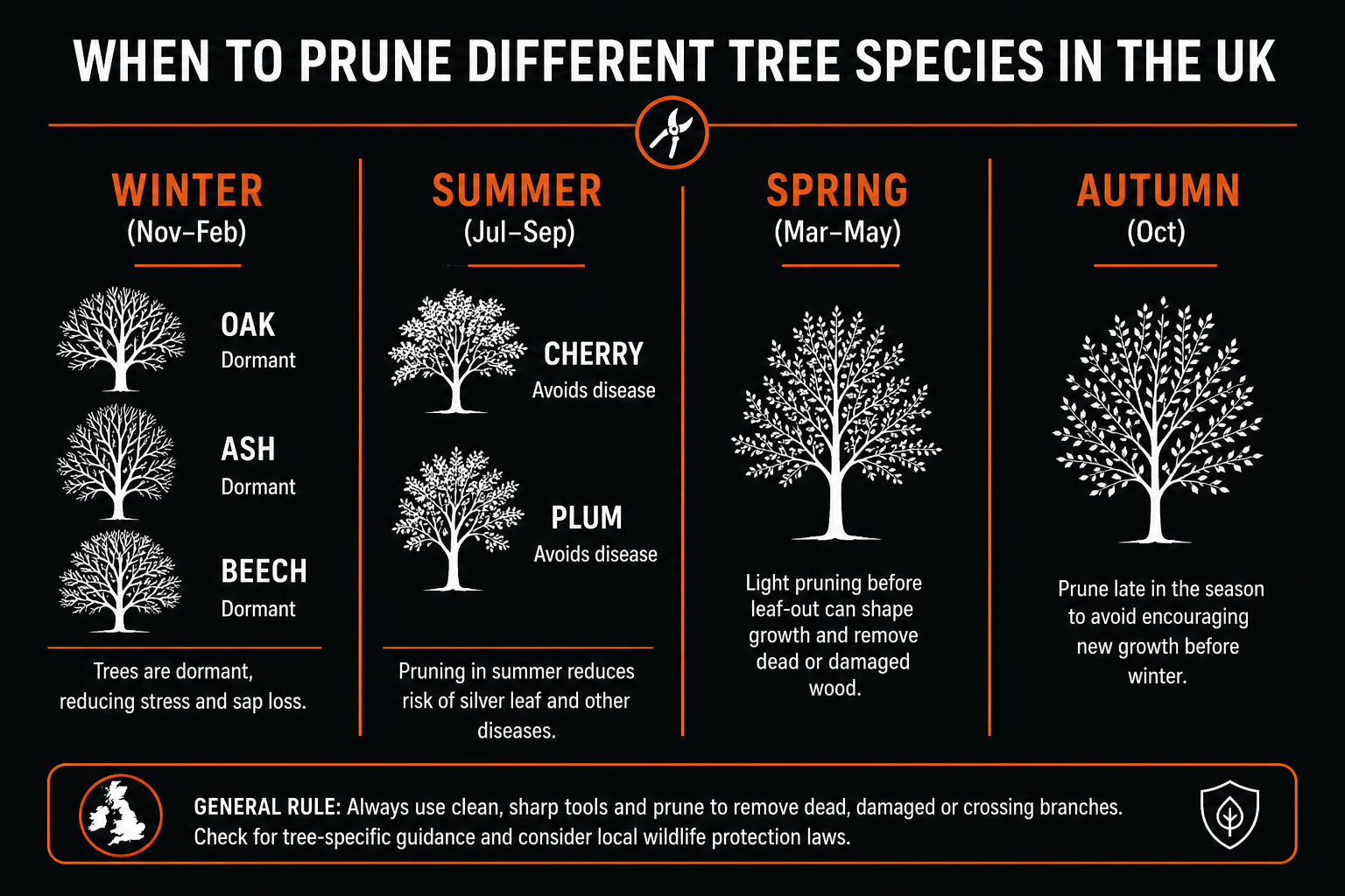 Tree pruning calendar: winter pruning for oak, ash, beech; summer pruning for cherry, plum, magnolia, walnut