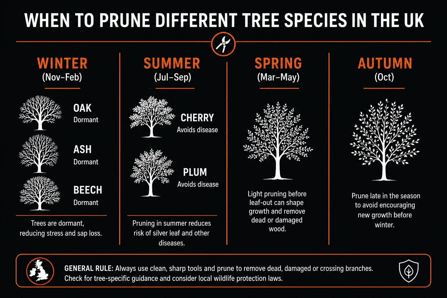 Tree pruning calendar: winter pruning for oak, ash, beech; summer pruning for cherry, plum, magnolia, walnut