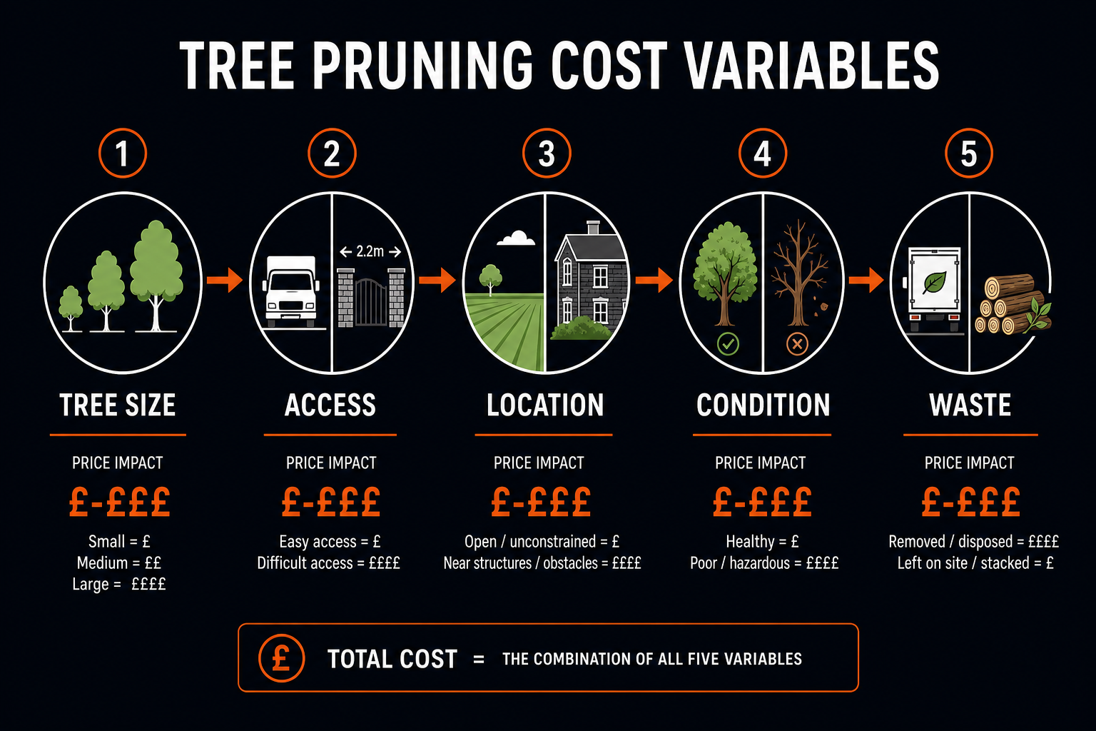 Five factors that affect tree pruning cost: tree size, access, location, condition, and waste disposal