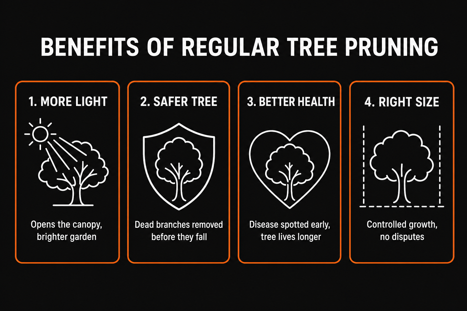 Benefits of regular tree pruning: more light, safer tree, better health, right size