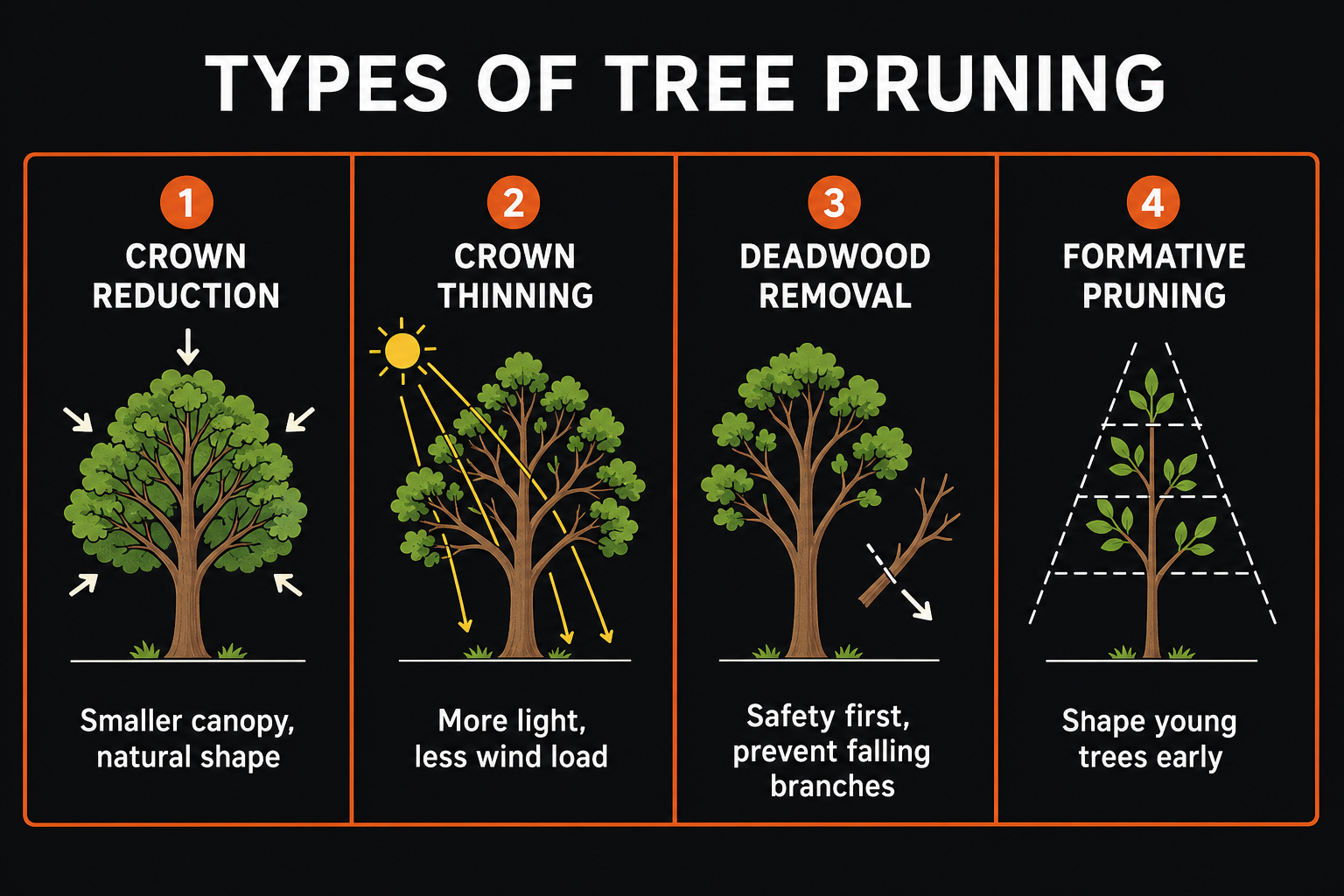 Types of tree pruning: crown reduction for smaller canopy, crown thinning for more light, deadwood removal for safety, formative pruning for young trees