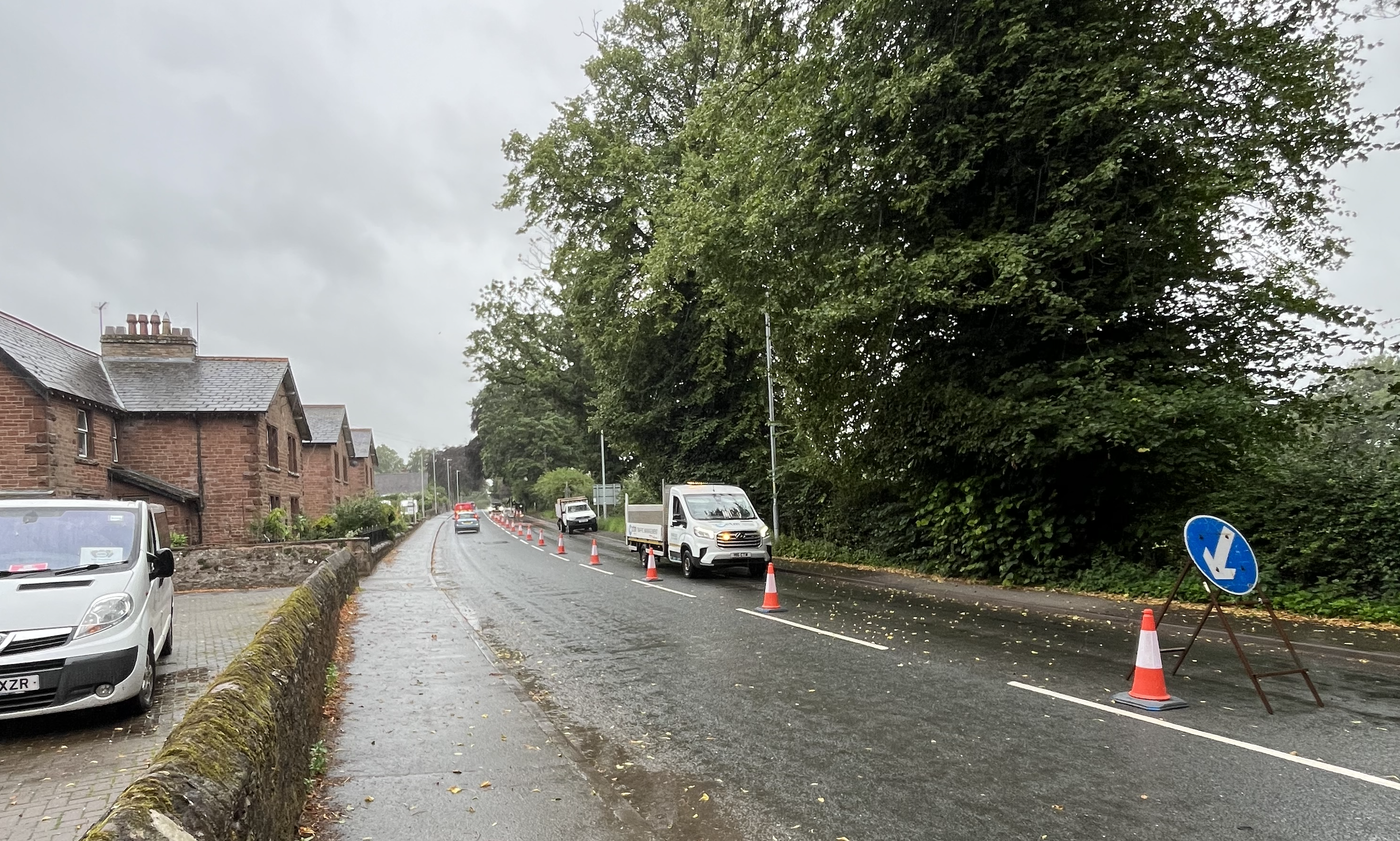 Tree-lined residential street with mature trees requiring regular maintenance and pruning, County Durham