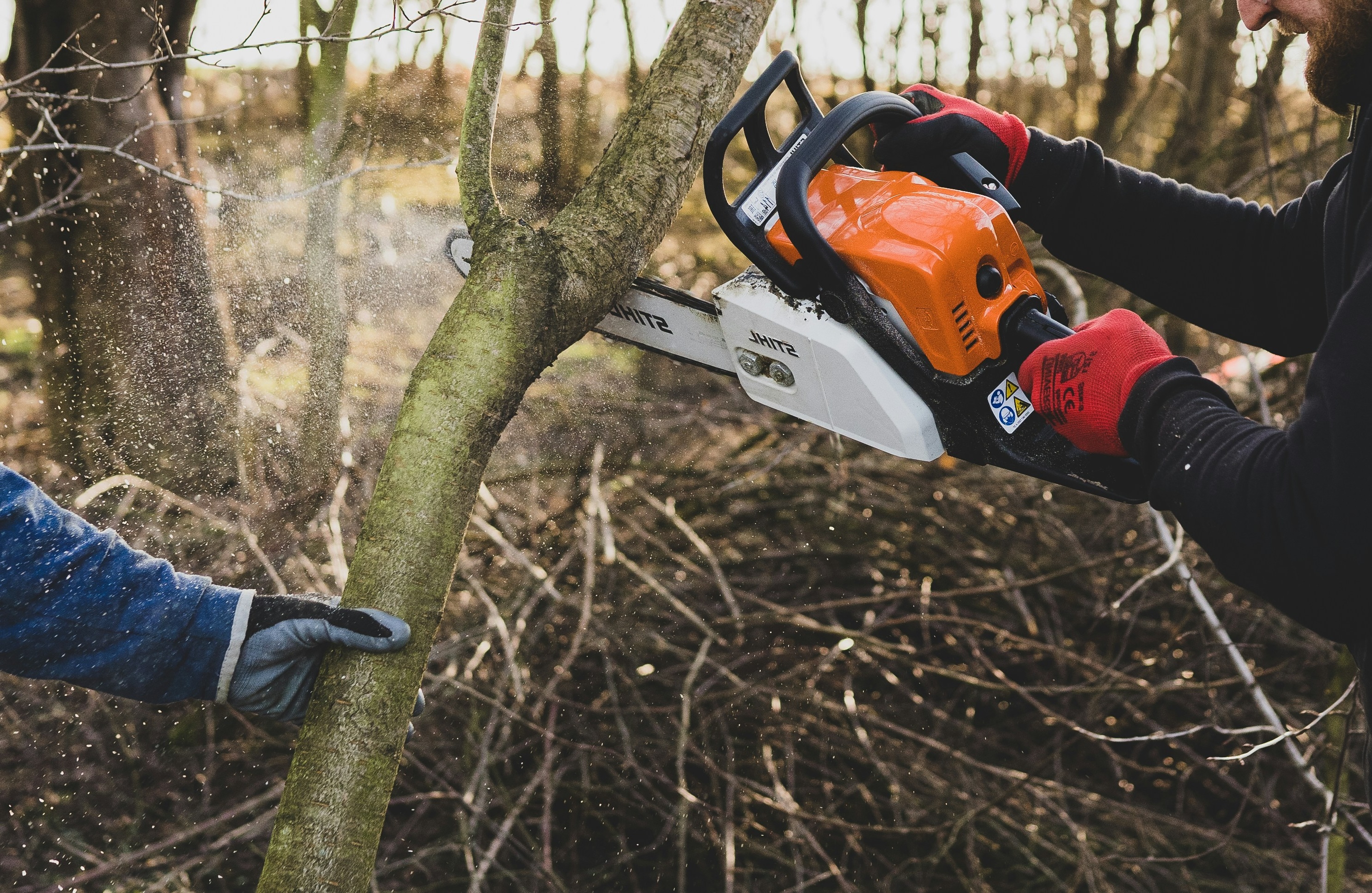Tree surgeons carrying out safe precise tree work in County Durham
