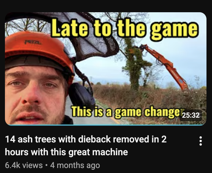 Ash dieback information showing an ash tree requiring assessment
